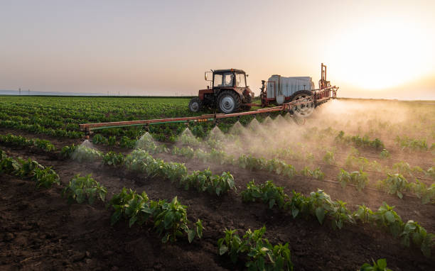 Pest Prevention Services in Fairview, OK