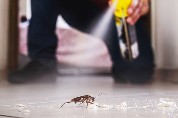 Professional Pest Control in Fairview, OK